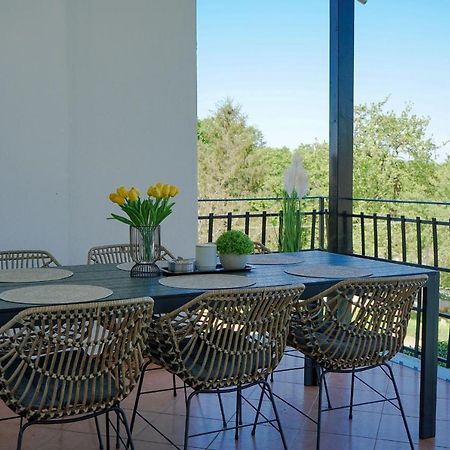 Вилла Leon With Private Pool Sveti Petar u Sumi Экстерьер фото